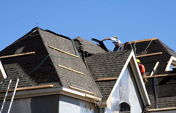 Best Storm Damage Roof Repair  in Mount Olive, MS