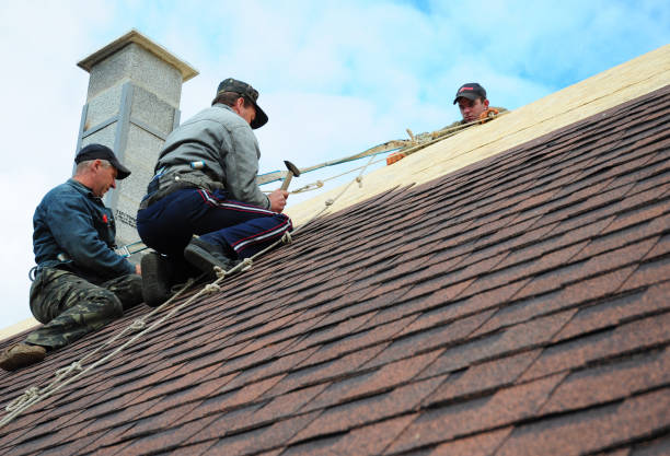 Best Roof Replacement Cost  in Mount Olive, MS